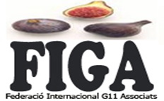 Federació Internacional G11 Associats
